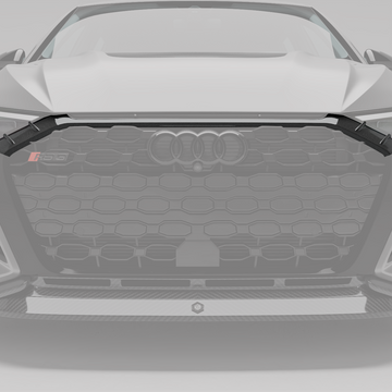 Audi RS3 8Y Sportback Carbon Fiber Front Grill - 0
