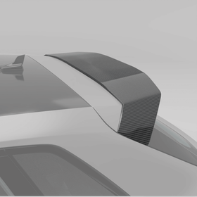Audi RS3 8Y Sportback Carbon Fiber Roof Spoiler - 0