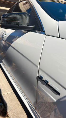 Carbon Fiber Mirror Caps - 0