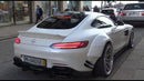 Mercedes-AMG GT C190 Duckbill Spoiler installed - image 3