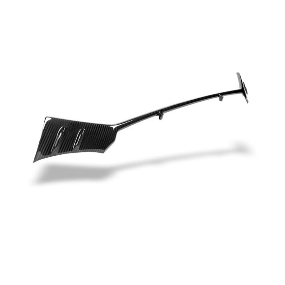 Audi RS6 C8 Carbon Fiber Front Grill