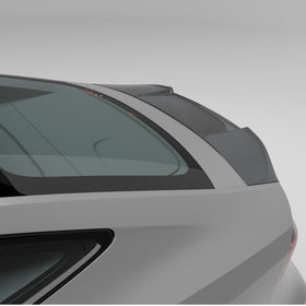 Audi RS7 C8 Carbon Fiber Spoiler