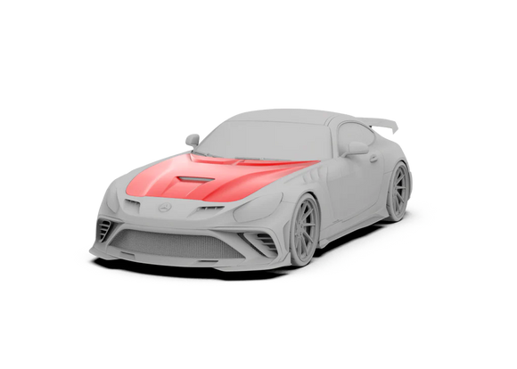 Robot Craftsman Paragon FRP & Carbon Full Kit for Mercedes Benz AMG GT/GTS C190