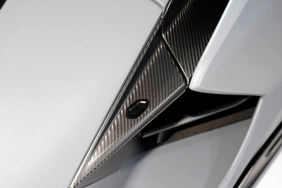 DarwinPRO 2023-UP Lamborghini Revuelto OE Style Autoclave Carbon Fiber Door Handle
