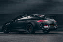DarwinPRO 2019-2024 Mercedes Benz AMG GT63 S 4Door Coupe X290 IMP Performance Side Skirts-5
