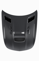 RENNtech | 190 - AMG GT | Carbon Fiber High Performance Hood-2