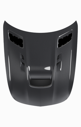 RENNtech | 190 - AMG GT | Carbon Fiber High Performance Hood - 0