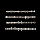 COMPLETE M156 BILLET CAMSHAFT KIT-1