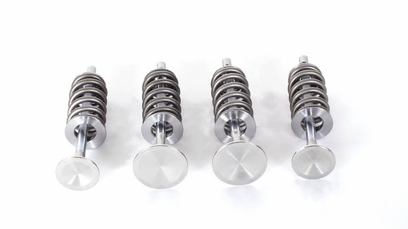 PTG M17X Valve Spring Set for M177.1 and M178 engines - photo 1
