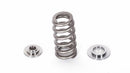 PTG M17X Valve Spring Set for M177.1 and M178 engines - photo 2