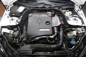 Mercedes-Benz W212 E200 / E250 / E260 (M274) ARMASPEED Carbon fiber Cold Air Intake - 0
