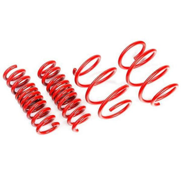 AST 76-84 Mercedes-Benz 200 240D/240TD/280E/280TE/280CE/300D/300TD (W123) Lowering Springs 40mm/40mm - 0