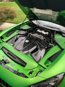 CMST Carbon Fiber Engine Cover for Mercedes Benz AMG GT & GTS & GTC & GTR 2015-ON-22