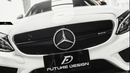 Future Design Carbon ABS Front Grill AMG Style for Mercedes Benz C-Class W205 2015-ON-1