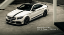 Future Design Carbon W205 C63 AMG Sedan / Coupe Carbon Fiber Front Canards-5