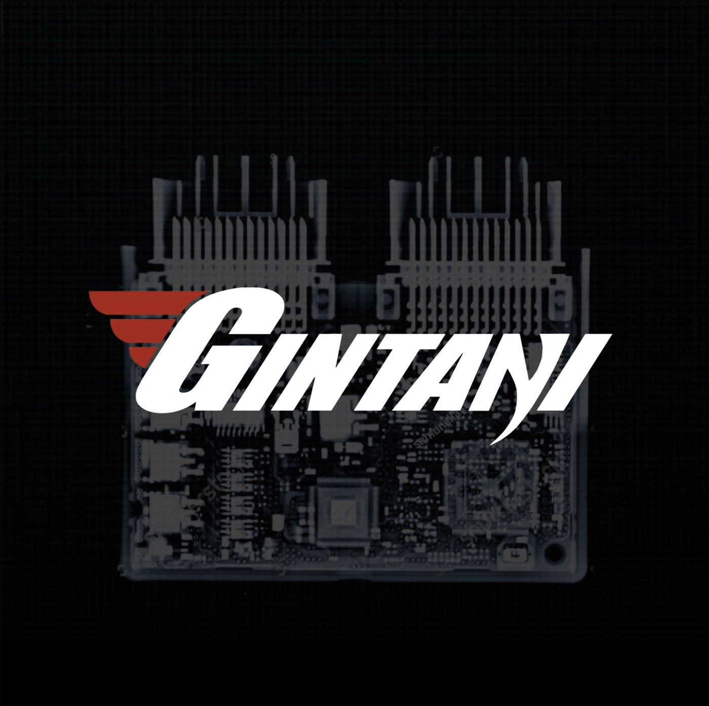Gintani Tuning Packages